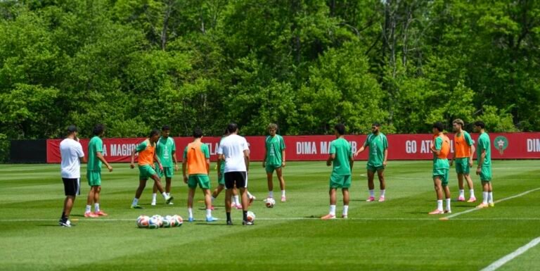 المنتخب الوطني يستأنف تدريباته استعدادا لمواجهة البرازيل في المونديال